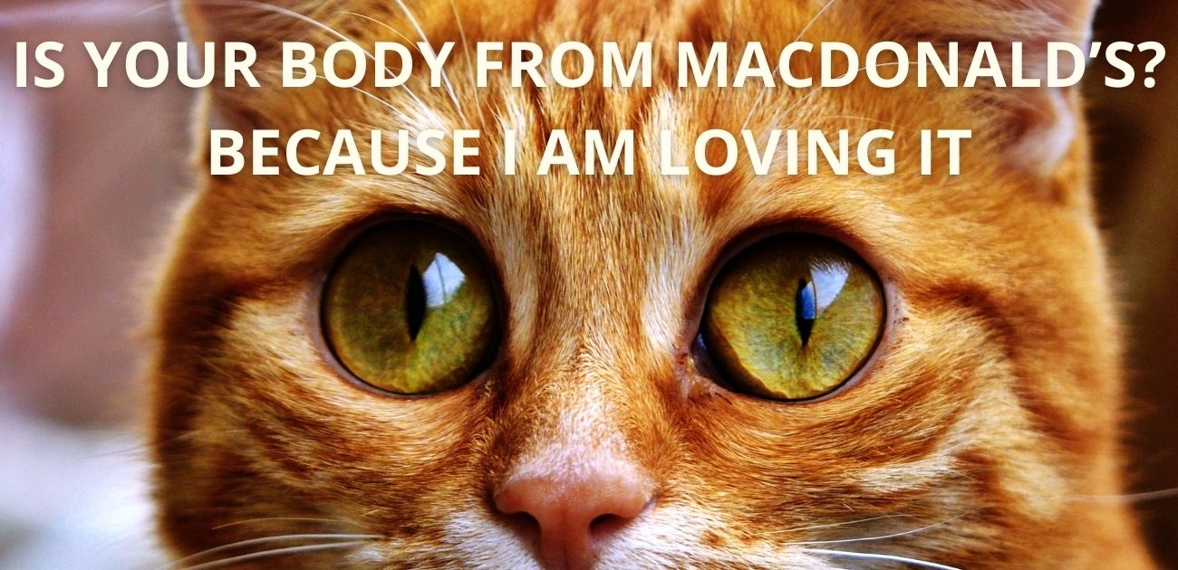 Is your body from Macdonald’s Because I am loving it
