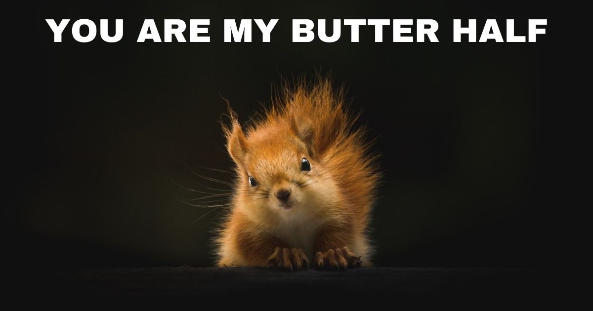 You are my butter half