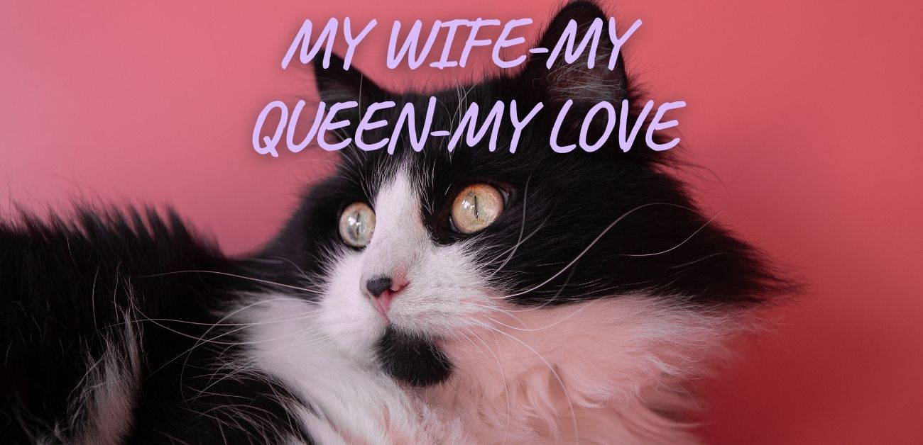 My wife-My queen-my Love